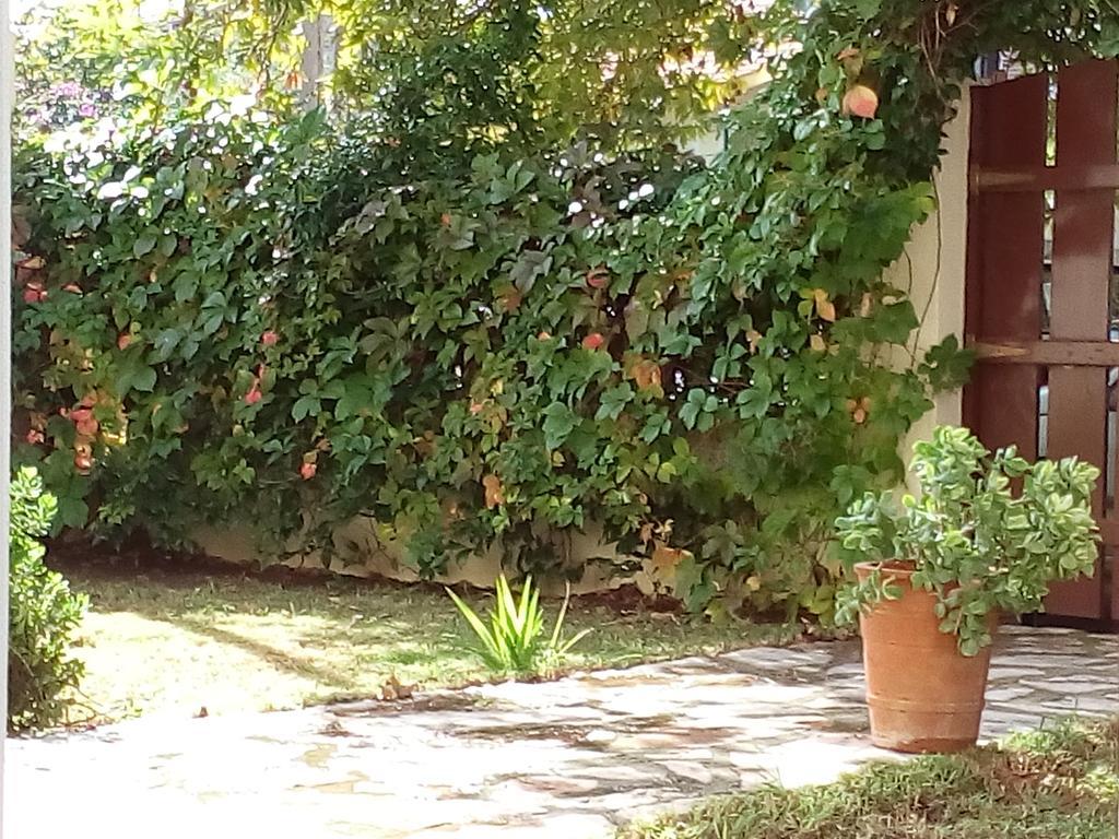 Villa The Platanus Tree Kato Vasiliki Exterior foto