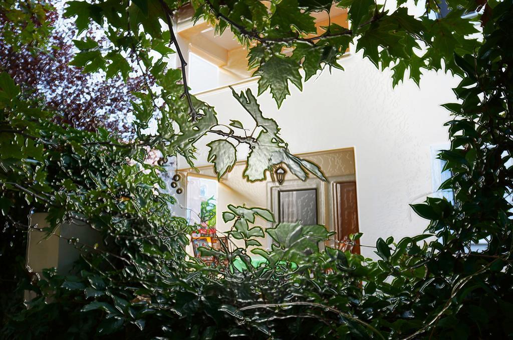 Villa The Platanus Tree Kato Vasiliki Exterior foto
